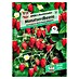 Sperli Obstsamen Monatserdbeeren 