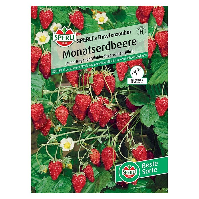 Sperli Obstsamen Monatserdbeeren (Fragaria vesca, Erntezeit: Mai) | BAUHAUS