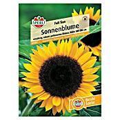 Sperli Blumensamen Sonnenblumen Full Sun (Helianthus annuus, Gelb, Saatzeit: März, Blütezeit: Juli) | BAUHAUS