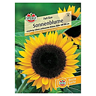 Sperli Blumensamen Sonnenblumen Full Sun (Helianthus annuus, Gelb, Saatzeit: März, Blütezeit: Juli)