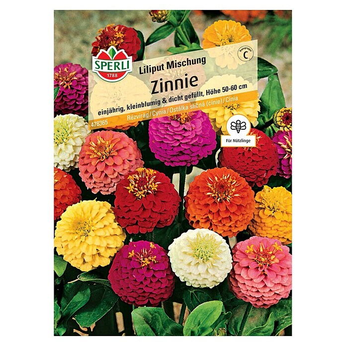 Sperli Blumensamen Zinnien (Zinnia elegans, Mehrfarbig, Saatzeit: März, Blütezeit: Juli) | BAUHAUS