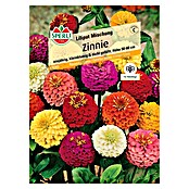 Sperli Blumensamen Zinnien (Zinnia elegans, Mehrfarbig, Saatzeit: März, Blütezeit: Juli) | BAUHAUS