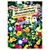 Sperli Blumensamenmischung Blumen-Mischung 