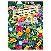 Sperli Blumensamenmischung Blumen-Mischung (Mischung, Mehrfarbig, 3 m²) | BAUHAUS