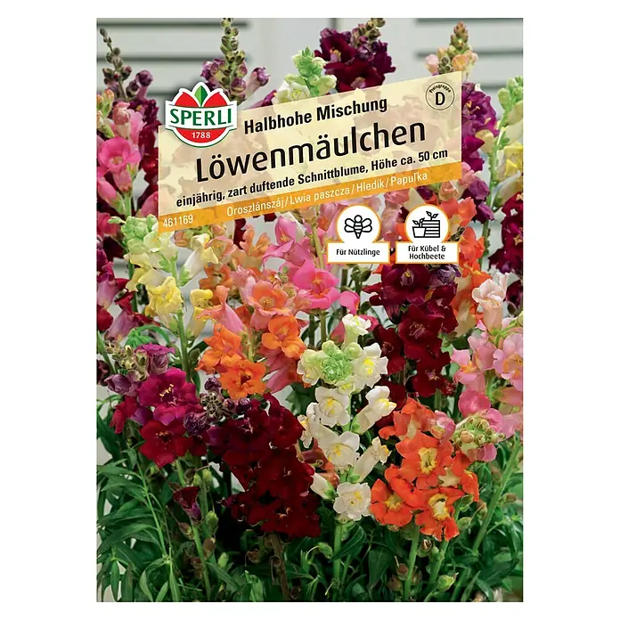 Sperli Blumensamen Löwenmäulchen - Antirrhinum majus, Mehrfarbig, Saatzeit: Februar, Blütezeit: Juli - Samenpackung Löwenmäulchen „Halbhohe Mischung“ von Sperli mit bunten Blüten für Beet, Kübel und als Schnittblume.