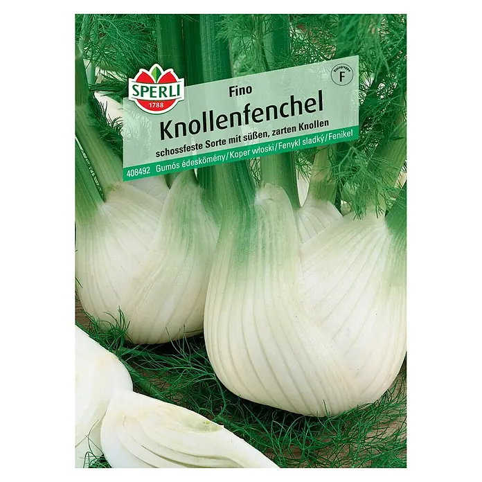 Sperli Gemüsesamen Knollenfenchel - Foeniculum vulgare var. azoricum, Saatzeit: April, Erntezeit: Juli - Samenpackung "Knollenfenchel Fino" von Sperli, mit knackigen, süßen Knollen, ideal für Gemüsebeete und zur Bereicherung des Speiseplans.