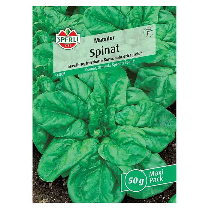Sperli Gemüsesamen Spinat Matador - Spinacia oleracea, Saatzeit: März, Erntezeit: Mai - Samenpackung Spinat "Matador" von Sperli, eine bewährte, frostharte und sehr ertragreiche Sorte im Maxi-Pack.