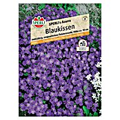 Blaukissen Blaukissen (Aubrieta x Hybrida, Lila) | BAUHAUS