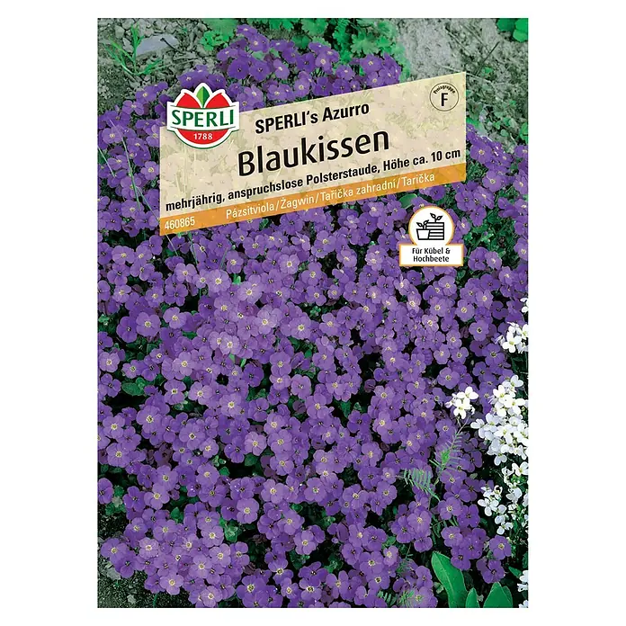 Sperli Blumensamen Blaukissen Azurro - Aubrieta x Hybrida, Lila - Bild einer SPERLI's Azurro Blaukissen-Samenpackung, die winterharte Polsterstauden mit violetten Blüten für Kübel und Hochbeete verspricht.