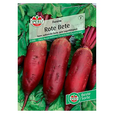 Sperli  Gemüsesamen Rote Bete