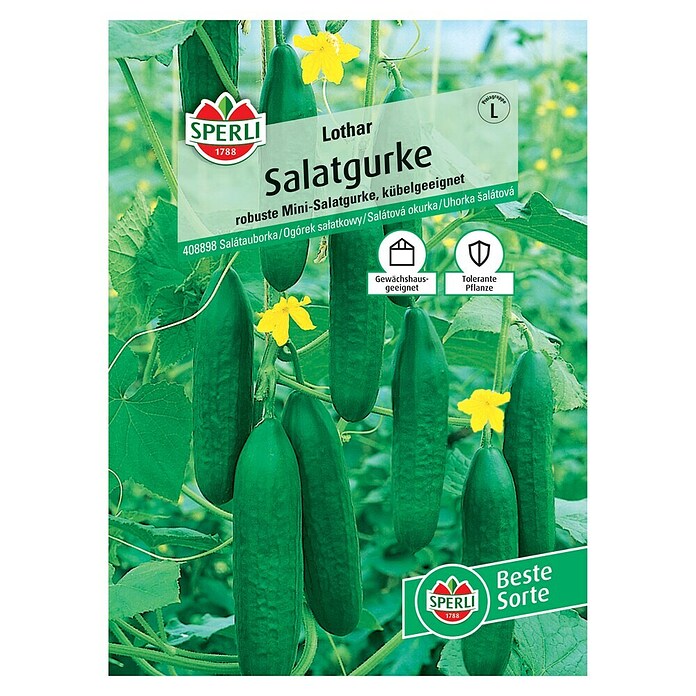 Sperli Gemüsesamen Salatgurken Lothar (Cucumis sativus, Saatzeit: März, Erntezeit: Juli) | BAUHAUS