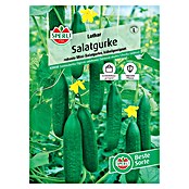 Sperli Gemüsesamen Salatgurken Lothar (Cucumis sativus, Saatzeit: März, Erntezeit: Juli) | BAUHAUS