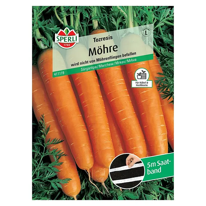 Sperli Gemüsesamen Möhren - Daucus carota, Saatzeit: April, Erntezeit: August - Samenpackung für "Tozresis Möhre" Karotten. Das Saatband ist 5m lang und die Karotten sind resistent gegen Möhrenfliegen.
