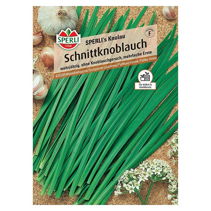 Sperli Kräutersamen Schnittknoblauch (Allium tuberosum, Saatzeit: Februar, Erntezeit: Juni) | BAUHAUS