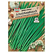 Sperli Kräutersamen Schnittknoblauch (Allium tuberosum, Saatzeit: Februar, Erntezeit: Juni) | BAUHAUS