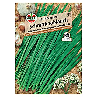 Sperli Kräutersamen Schnittknoblauch (Allium tuberosum, Saatzeit: Februar, Erntezeit: Juni)