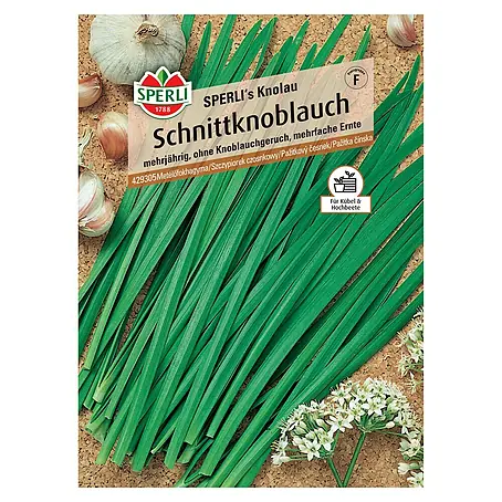 Sperli  Kräutersamen Schnittknoblauch