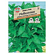 Sperli Kräutersamen Pfefferminze (Mentha piperita, Saatzeit: März, Erntezeit: Juli) | BAUHAUS