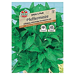 Sperli Kräutersamen Pfefferminze (Mentha piperita, Saatzeit: März, Erntezeit: Juli)
