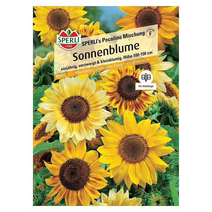 Sperli Blumensamen Sonnenblumen Pocolino (Helianthus annuus, Gelb, Saatzeit: März, Blütezeit: Juli) | BAUHAUS