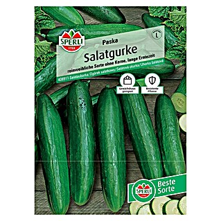 Sperli Gemüsesamen Salatgurken Paska (Cucumis sativus, Saatzeit: März, Erntezeit: Juli)
