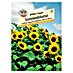 Sperli Blumensamen Sonnenblumen Gigant 