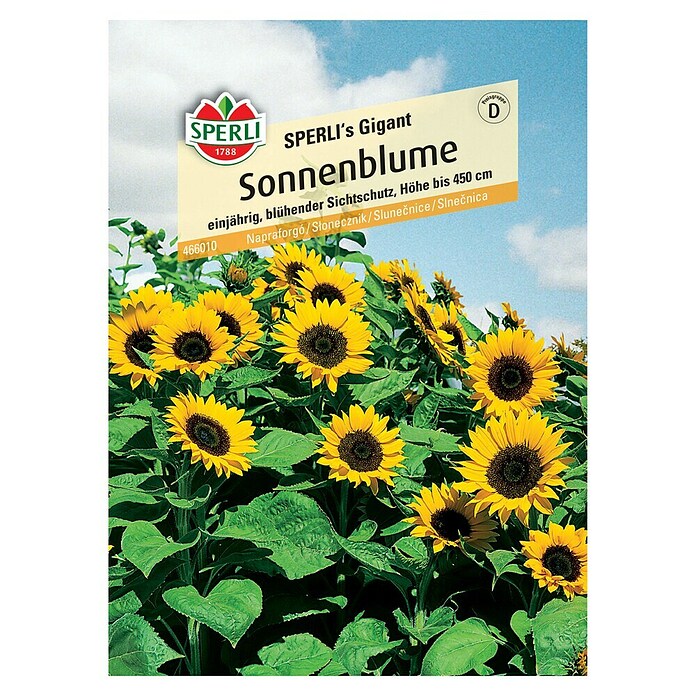 Sperli Blumensamen Sonnenblumen Gigant (Helianthus annuus, Gelb, Saatzeit: März, Blütezeit: August) | BAUHAUS