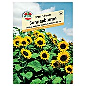 Sperli Blumensamen Sonnenblumen Gigant (Helianthus annuus, Gelb, Saatzeit: März, Blütezeit: August) | BAUHAUS