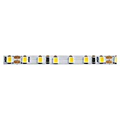 Alverlamp Tira LED (Largo: 5 m, Color de luz: Blanco cálido, 14,4 W)