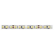 Alverlamp Tira LED IP65 (Largo: 5 m, Color de luz: Blanco frío, 14,4 W)