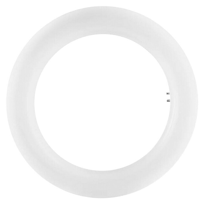 Tubo LED Circular (20 W, 3 cm, Blanco frío, 1.200 lm) | BAUHAUS