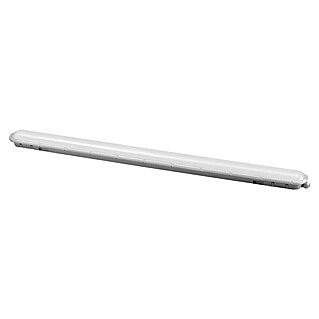 Voltolux LED rasvjeta za vlažne prostore sa senzorom s Mikrovalovima (D x Š x V: 120 x 9,2 x 6 cm, Boja svjetla: Neutralno bijelo, 48 W, IP65)