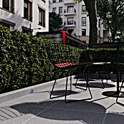 Palisade G 654 (12 x 10 x 50 cm, Anthrazit, Granit, Geflammt) | BAUHAUS