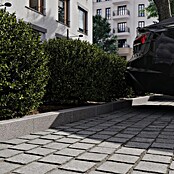 Palisade G 654 (12 x 10 x 50 cm, Anthrazit, Granit, Geflammt) | BAUHAUS