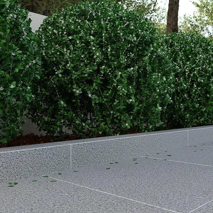 Palisade G 654 - 100 x 10 x 12 cm, Anthrazit - Üppige, runde Buchsbaumhecken mit zarten, weißen Blüten, die eine grüne Kulisse bilden und die natürliche Schönheit betonen.