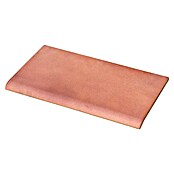Baldosa decorativa Vierteaguas (14 x 28 cm, Cuero)