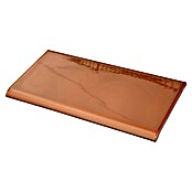 Baldosa decorativa Vierteaguas (14 x 28 cm, Caramelo)