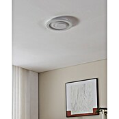 Eglo Plafón LED redondo Palagiano 1 (14 W, Blanco, Blanco cálido, 2.100 lm) | BAUHAUS