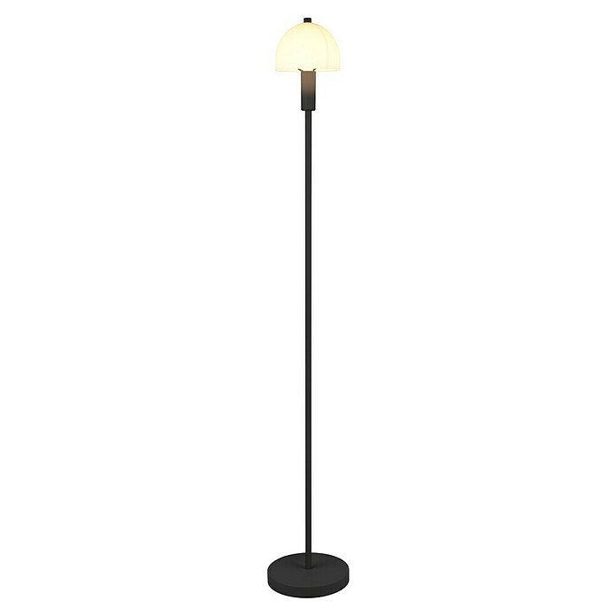 Trio Leuchten LED talna svetilka Glenn  (10 W, Višina: 120 cm, Črna) | 3045 - Stehleuchten | CACI - Stehleuchten | CAC - Indoorleuchten | CA - Beleuchtung | C - Elektro | BAUHAUS