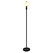 Trio Leuchten LED talna svetilka Glenn  (10 W, Višina: 120 cm, Črna) | 3045 - Stehleuchten | CACI - Stehleuchten | CAC - Indoorleuchten | CA - Beleuchtung | C - Elektro | BAUHAUS
