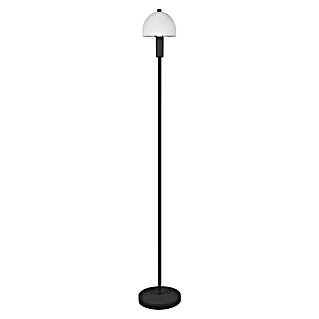 Trio Leuchten LED talna svetilka Glenn (10 W, Višina: 120 cm, Črna)