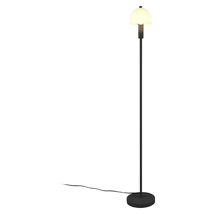 Trio Lighting Lámpara de pie LED Glenn - 10 W, Altura: 120 cm, Negro - Lámpara de pie con pantalla redonda, que emite una luz cálida, creando un ambiente acogedor.
