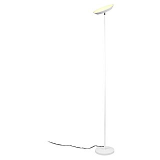 Trio Lighting Lámpara de pie LED Specter (17 W, Altura: 178 cm, Blanco, Blanco cálido)
