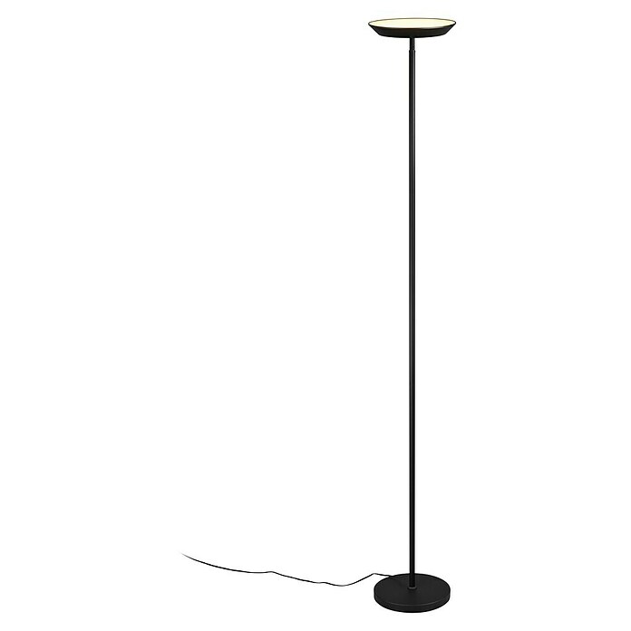 Trio Lighting Lámpara de pie LED Specter (17 W, Altura: 178 cm, Negro, Blanco cálido) | BAUHAUS