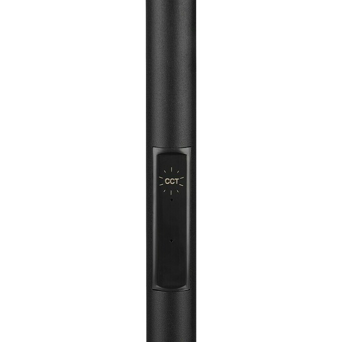 Trio Lighting Lámpara de pie LED Specter (17 W, Altura: 178 cm, Negro, Blanco cálido) | BAUHAUS