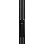Trio Lighting Lámpara de pie LED Specter (17 W, Altura: 178 cm, Negro, Blanco cálido) | BAUHAUS