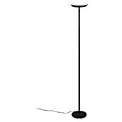 Trio Lighting Lámpara de pie LED Specter (17 W, Altura: 178 cm, Negro, Blanco cálido) | BAUHAUS