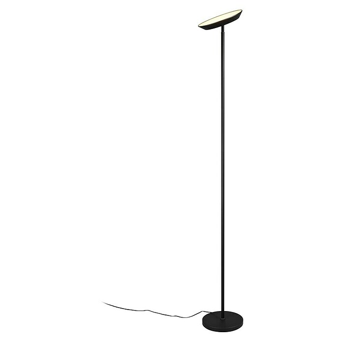 Trio Lighting Lámpara de pie LED Specter (17 W, Altura: 178 cm, Negro, Blanco cálido) | BAUHAUS