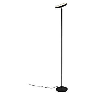 Trio Lighting Lámpara de pie LED Specter (17 W, Altura: 178 cm, Negro, Blanco cálido)