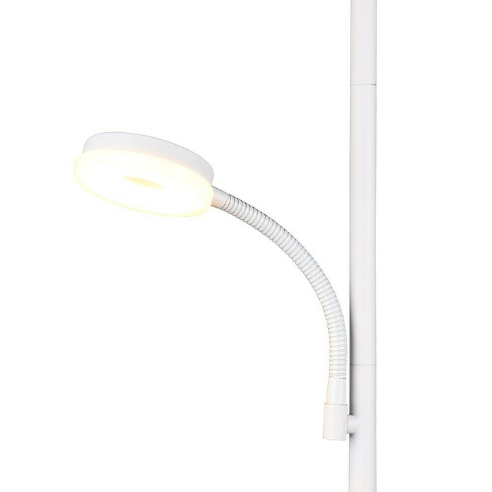Trio Lighting Lámpara de pie LED con lector (18 W, Altura: 178 cm, Blanco, Blanco cálido) | BAUHAUS